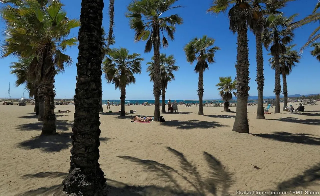 Zeus Mercurio Basic Salou